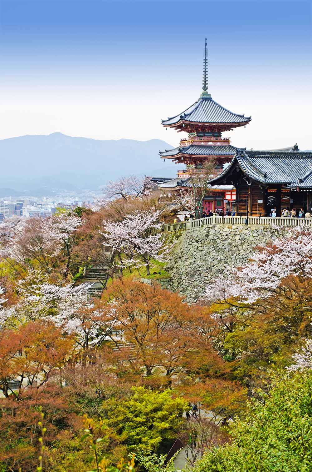 京都的寺廟與神社